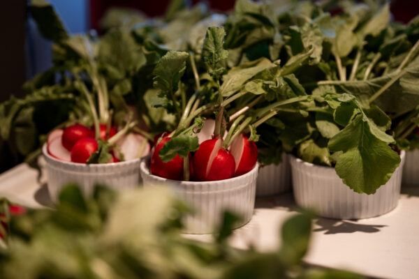 20251118_161146_RUBEN MAY_00009