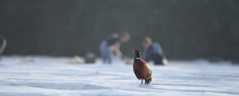 Kennis en onderzoek voor Groenboeren