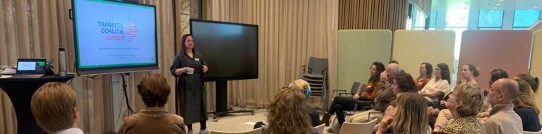 Deelnemers maken tijdens zo’n workshop actief deel uit van een dynamisch systeem. Zij ‘spelen’ met elkaar de transitie na en zien zo direct wanneer en hoe interventies effect hebben